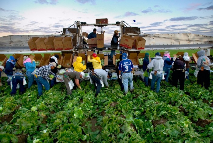 Women Farm Workers