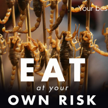 Pictory Theme: Eat at Your Own Risk